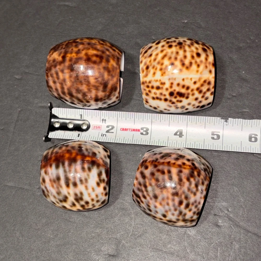 Vintage Natural Tiger Cowrie Shell Napkin Rings Set of 4 Brown Spotted Coastal